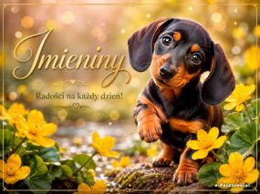 Imieniny - Radości na każdy dzień