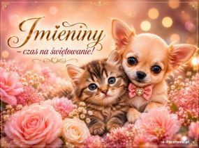 Imieniny - Czas na świętowanie!