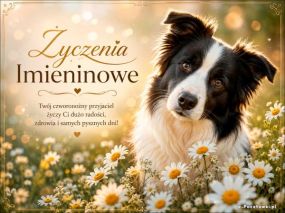 Życzenia Imieninowe dla Ciebie