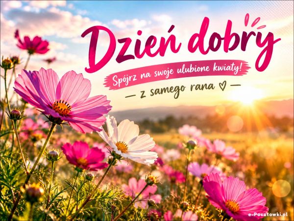 Twoje ulubione kwiaty na Dzień dobry