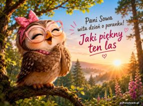 Pani Sowa wita dzień o poranku