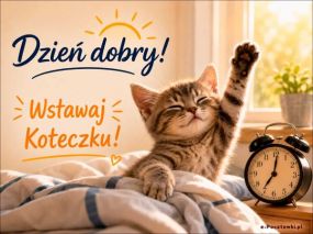 Wstawaj Koteczku!