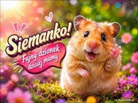 e-Pocztówka - Siemanko!