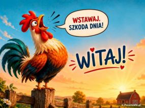 Wstawaj, szkoda dnia!