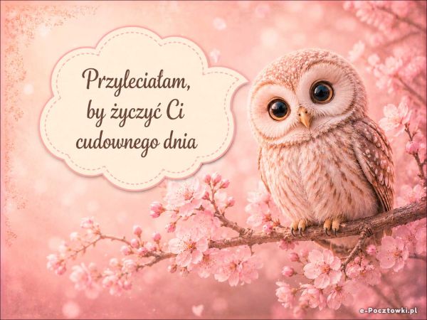 Wiadomość od sowy