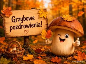 Grzybowe pozdrowienia