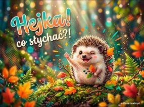 Hejka!