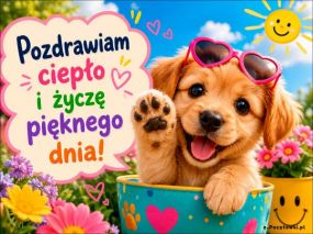 Pozdrawiam ciepło!