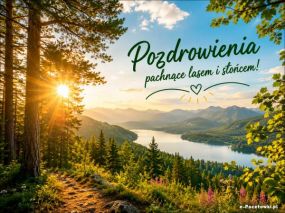 Pozdrowienia pachnące lasem